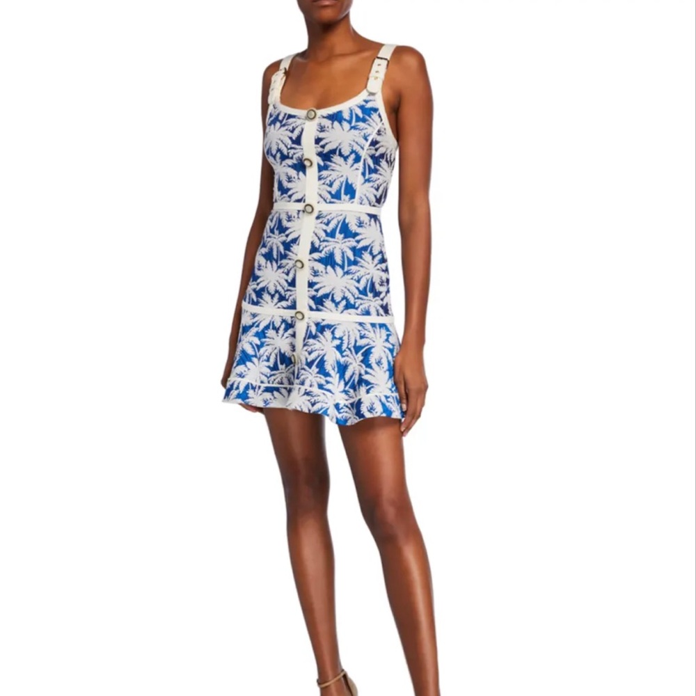 Alexis Blue and White Mini Dress